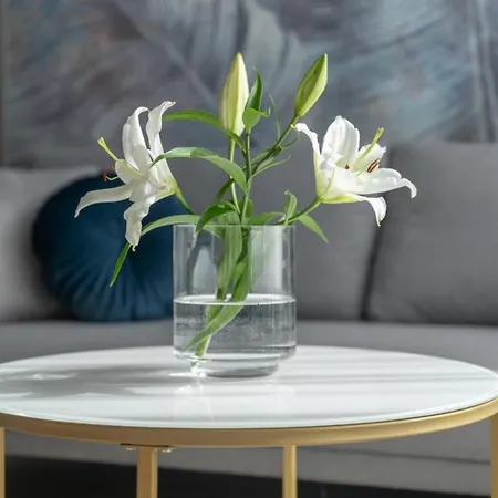 Champion Arkona Residence, Apartament Nr 44 شقة *